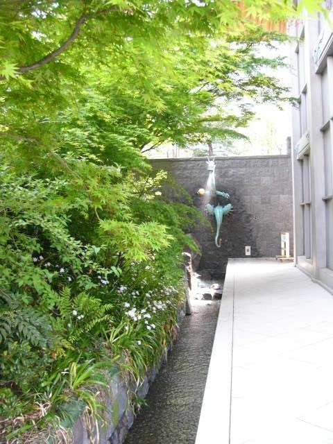 p1090132.jpg